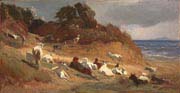 goats on the beach of porto d anzio